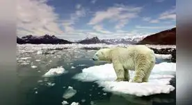 “La tarea es colosal. Tenemos que replantar y proteger nuestros bosques, limpiar nuestros ríos y mares y hacer más verdes nuestras ciudades”, señaló Guterres.