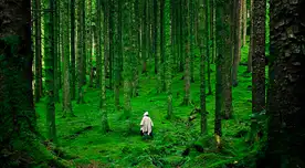 Los beneficios en la salud pueden ser sorprendentes, incluso puede ayudar a prevenir el cáncer.