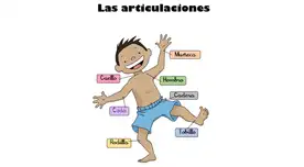 Potencia tu movilidad: conoce la función clave de las articulaciones y mantén su salud. ¡Infórmate y vive sin límites! Potencia tu movilidad: conoce la función clave de las articulaciones y mantén su salud. ¡Infórmate y vive sin límites!