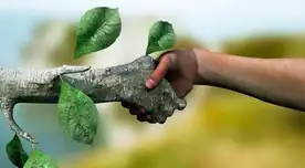 El término de “ecología profunda” fue introducido por el filósofo, catedrático y alpinista noruego llamado Arne Dekke Eide Naess.