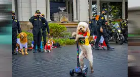 PNP realizó exhibición en Circuito Mágico del Agua PNP realizó exhibición en Circuito Mágico del Agua