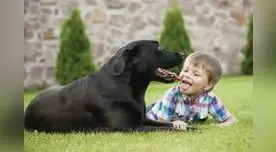 En esta fecha especial se busca concientizar sobre los derechos básicos que todo infante merece.