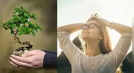 ¿Qué pasos puedo seguir para alcanzar el bienestar absoluto?