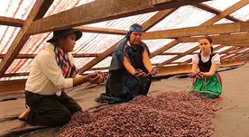 La Municipalidad de Oxapampa lanzó una certificación que garantiza la calidad del cacao, café y otros productos. La Municipalidad de Oxapampa lanzó una certificación que garantiza la calidad del cacao, café y otros productos.