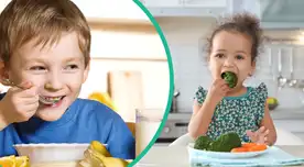 Un alto consumo de proteínas como el huevo, la leche, pescado y quesos, puede prevenir la desnutrición.