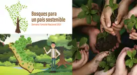 El lema de este año es