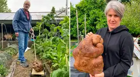 Colin y Donna Craig-Brown estaban desyerbando en su huerto cuando hicieron el descubrimiento. Colin y Donna Craig-Brown estaban desyerbando en su huerto cuando hicieron el descubrimiento.