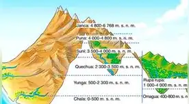 Revisas las 8 regiones naturales.