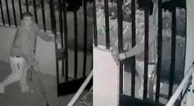 Delincuente no sería el único que merodea la zona en esta parte del Callao.