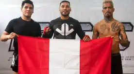 Artes marciales mixtas