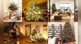 Has brillar tu árbol de Navidad en el lugar correcto.