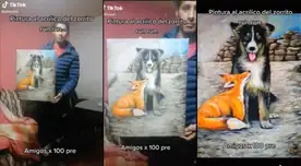 ¡Tierno! Usuario en TikTok dedicó tierno dibujo al zorrito 'Run Run' y a su amigo