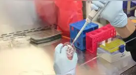 Conoce AQUÍ todos los detalles de la coinfección Flurona que ya lleva tres casos y una muerte en el Perú.