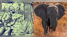 Debes voltear la imagen para dar con el elefante escondido. Debes voltear la imagen para dar con el elefante escondido.