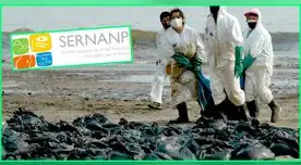 Los daños generados por el derrame de petróleo de Repsol en el litoral peruano y que actualmente afectan dos áreas naturales protegidas son 'incalculables'.