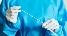 Conoce todo lo que se sabe sobre la hija de la variante Ómicron.