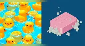 El jabón esta escondido entre los patos. El jabón esta escondido entre los patos.