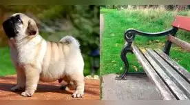 En 20 segundos debes resolver este acertijo visual. Presta mucha atención. En 20 segundos debes resolver este acertijo visual. Presta mucha atención.