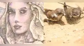 Este ilusión óptica busca retar tus sentidos. Este ilusión óptica busca retar tus sentidos.