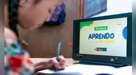 Conoce aquí la programación de Aprendo en casa para el verano del 2022