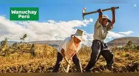 Puedes cobrar el subsidio en las agencias del Banco de la Nación.