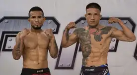 Artes marciales mixtas Artes marciales mixtas