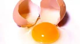 ¿Qué hacer con el huevo después de la limpia? Te enseñamos cómo desecharlo de forma segura ¿Qué hacer con el huevo después de la limpia? Te enseñamos cómo desecharlo de forma segura