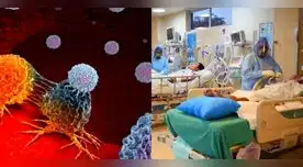 Los glóbulos rojos es la primera defensa en el organismo ante cualquier patógeno.