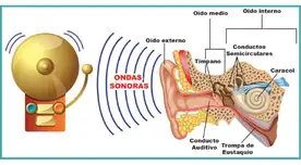 El sonido es producido por ondas en el aire.
