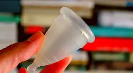 Te será de mucha utilidad la copa menstrual para tu higiene íntima.