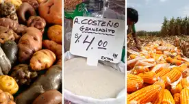 Cabe resaltar que Perú importa el 70 % de urea de Rusia, país que viene afrontando severas sanciones económicas por la guerra que desató contra Ucrania.