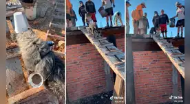 El video ha generado más de 900.000 reproducciones y cientos de comentarios en la plataforma.