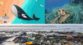 El calentamiento global, causado por las emisiones de CO2, calienta el agua y disminuye su nivel de oxígeno.