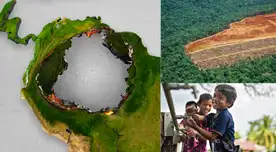 Practica el reciclaje de papel y otros productos que provengan de los árboles.