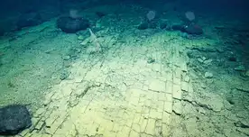 El impresionante hallazgo se realizó durante una de las últimas expediciones del buque de exploración Nautilus con un ROV acuático. El impresionante hallazgo se realizó durante una de las últimas expediciones del buque de exploración Nautilus con un ROV acuático.