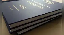 Los trabajos de investigación se encuentran en la plataforma de Renati.