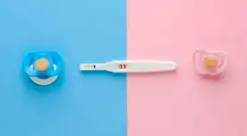 Hoy 4 de junio se conmemora el Día Mundial de la Fertilidad, con la finalidad de hacer un llamado de atención sobre los problemas para embarazarse que se presentan en la actualidad.