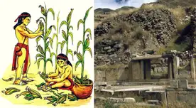 En esta etapa se fortaleció la agricultura.