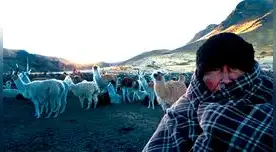 Junín: a causa de la helada, en un año infecciones respiratorias se incrementan en  100%