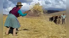 El  24 de junio se celebra el Día del Campesino. Foto: LR