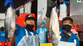 Una vocera del terminal pesquero de Ventanilla confirmó que los precios no han variado y que aún se mantienen. Una vocera del terminal pesquero de Ventanilla confirmó que los precios no han variado y que aún se mantienen.