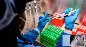 El INS identificó un nuevo linaje peruano del virus causante de la viruela del mono, denominado B.1.6 por el Comité Científico Internacional. El INS identificó un nuevo linaje peruano del virus causante de la viruela del mono, denominado B.1.6 por el Comité Científico Internacional.