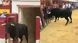 En un descuido el toro arrasó con todo en su camino. En un descuido el toro arrasó con todo en su camino.
