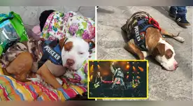 Carrocho Duff acompañó a fanáticos de Guns N' Roses.