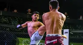 Artes Marciales Mixtas Artes Marciales Mixtas