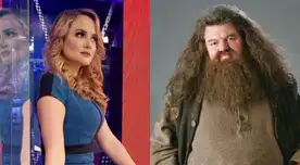 Carla Tello se conmovió al hablar de la muerte del actor de Harry Potter. Carla Tello se conmovió al hablar de la muerte del actor de Harry Potter.