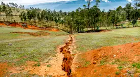 Proyecto busca hacerle frente ante desastres naturales.