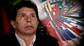 Pedro Castillo recibió el respaldo de la OEA.