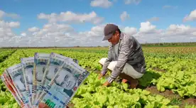 Conoce el cronograma de pago del Fertiabono.