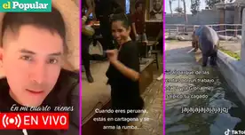 Los TikToks virales de hoy 10 de noviembre